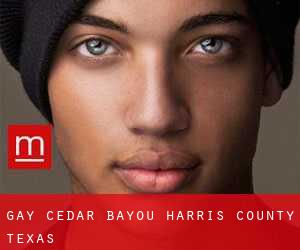 gay Cedar Bayou (Harris County, Texas)