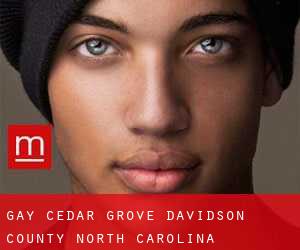 gay Cedar Grove (Davidson County, North Carolina)
