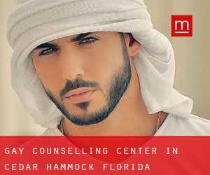 Gay Counselling Center in Cedar Hammock (Florida)