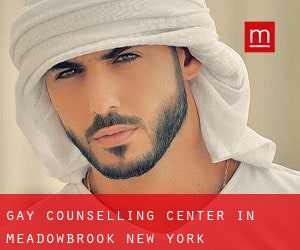 Gay Counselling Center in Meadowbrook (New York)