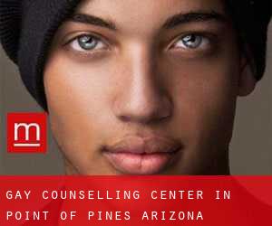 Gay Counselling Center in Point of Pines (Arizona)