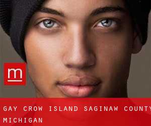 gay Crow Island (Saginaw County, Michigan)