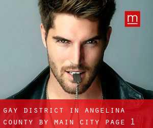 Gay District in Angelina County by main city - page 1