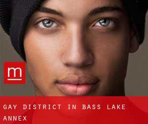 Gay District in Bass Lake Annex