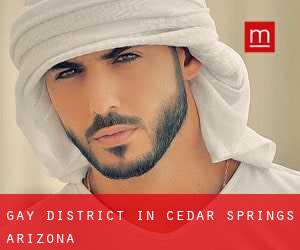 Gay District in Cedar Springs (Arizona)