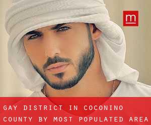 Gay District in Coconino County by most populated area - page 2
