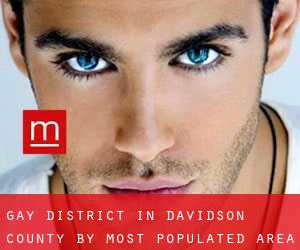 Gay District in Davidson County by most populated area - page 1