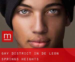 Gay District in De Leon Springs Heights
