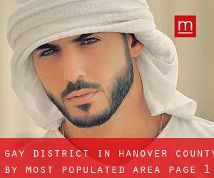 Gay District in Hanover County by most populated area - page 1