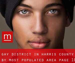 Gay District in Harris County by most populated area - page 18