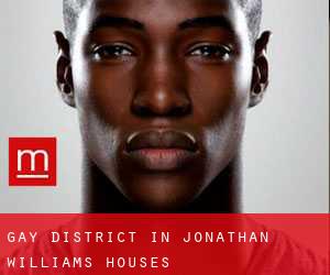 Gay District in Jonathan Williams Houses