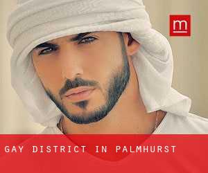 Gay District in Palmhurst