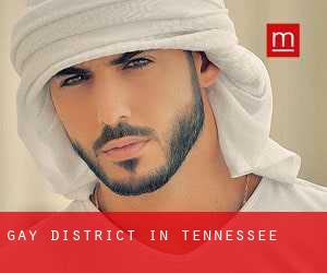 Gay District in Tennessee