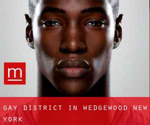 Gay District in Wedgewood (New York)