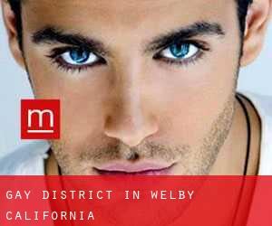 Gay District in Welby (California)
