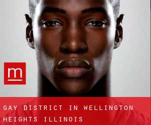 Gay District in Wellington Heights (Illinois)