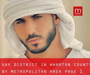 Gay District in Wharton County by metropolitan area - page 1