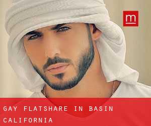 Gay Flatshare in Basin (California)