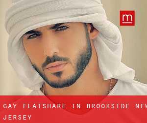 Gay Flatshare in Brookside (New Jersey)