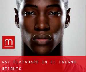 Gay Flatshare in El Encano Heights