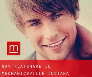 Gay Flatshare in Mechanicsville (Indiana)