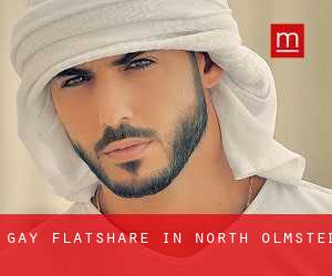 Gay Flatshare in North Olmsted