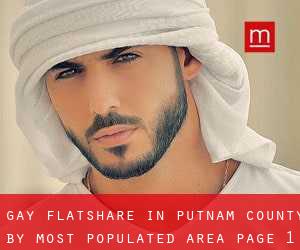 Gay Flatshare in Putnam County by most populated area - page 1