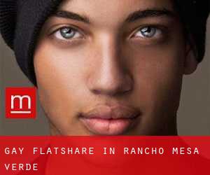 Gay Flatshare in Rancho Mesa Verde