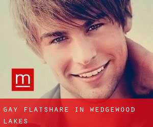Gay Flatshare in Wedgewood Lakes