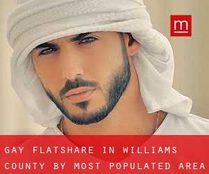 Gay Flatshare in Williams County by most populated area - page 1