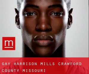 gay Harrison Mills (Crawford County, Missouri)