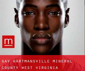 gay Hartmansville (Mineral County, West Virginia)