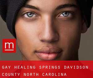 gay Healing Springs (Davidson County, North Carolina)