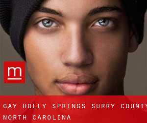 gay Holly Springs (Surry County, North Carolina)