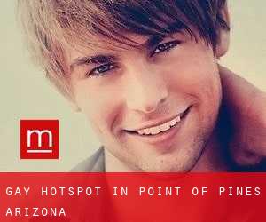 Gay Hotspot in Point of Pines (Arizona)
