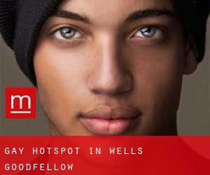 Gay Hotspot in Wells-Goodfellow