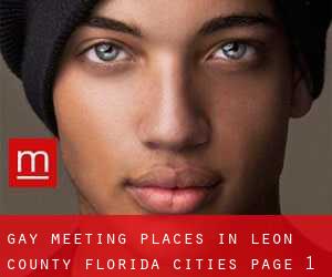 gay meeting places in Leon County Florida (Cities) - page 1