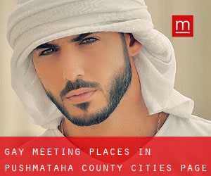 gay meeting places in Pushmataha County (Cities) - page 1