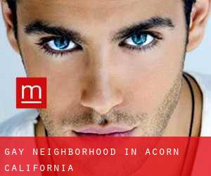 Gay Neighborhood in Acorn (California)