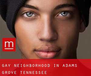 Gay Neighborhood in Adams Grove (Tennessee)