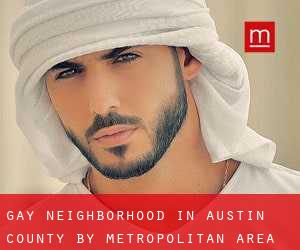 Gay Neighborhood in Austin County by metropolitan area - page 1