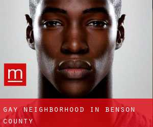 Gay Neighborhood in Benson County