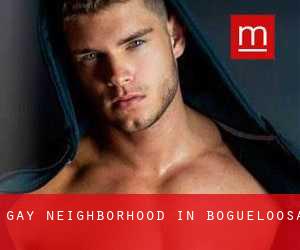 Gay Neighborhood in Bogueloosa