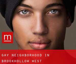 Gay Neighborhood in Brookhollow West
