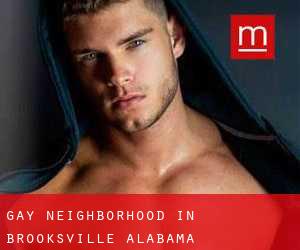 Gay Neighborhood in Brooksville (Alabama)