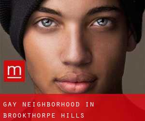 Gay Neighborhood in Brookthorpe Hills
