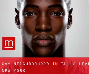 Gay Neighborhood in Bulls Head (New York)