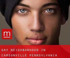 Gay Neighborhood in Carsonville (Pennsylvania)