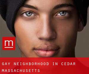 Gay Neighborhood in Cedar (Massachusetts)