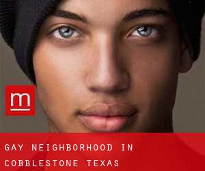 Gay Neighborhood in Cobblestone (Texas)
